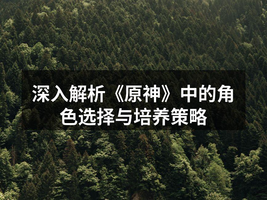 深入解析《原神》中的角色选择与培养策略